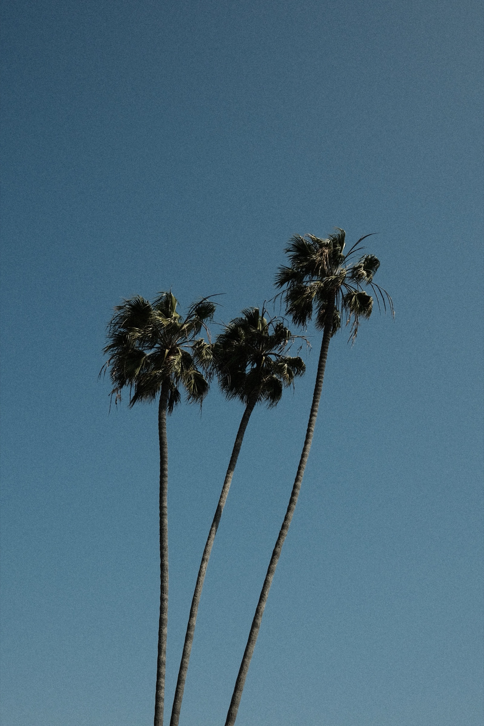 Places